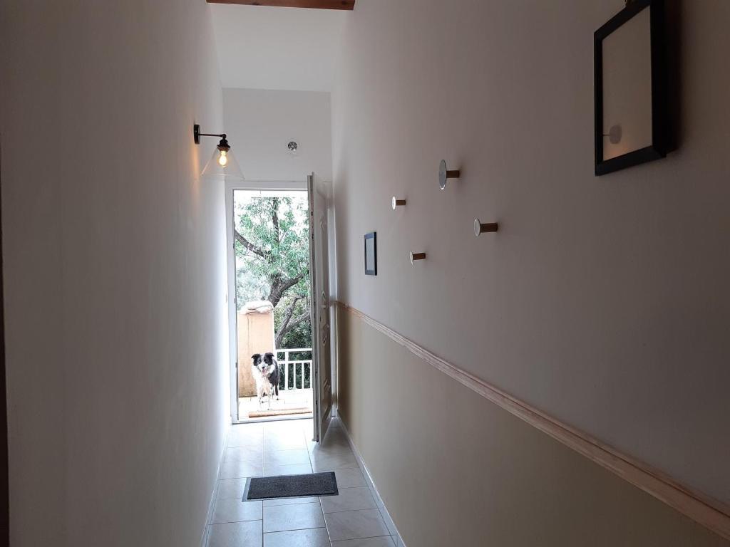 Apartament A Casa Di Paulina Serra-di-Ferro  Zewnętrze zdjęcie